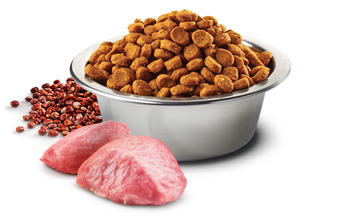 N&d dog food sales digestion