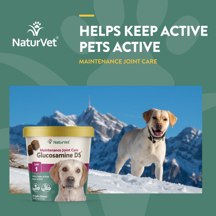 NaturVet Glucosamine DS Soft Chews Canton NC Waynesville NC The Dog House NC