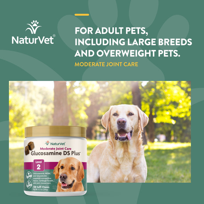 NaturVet Glucosamine DS Plus Soft Chews Canton NC Waynesville NC The Dog House NC