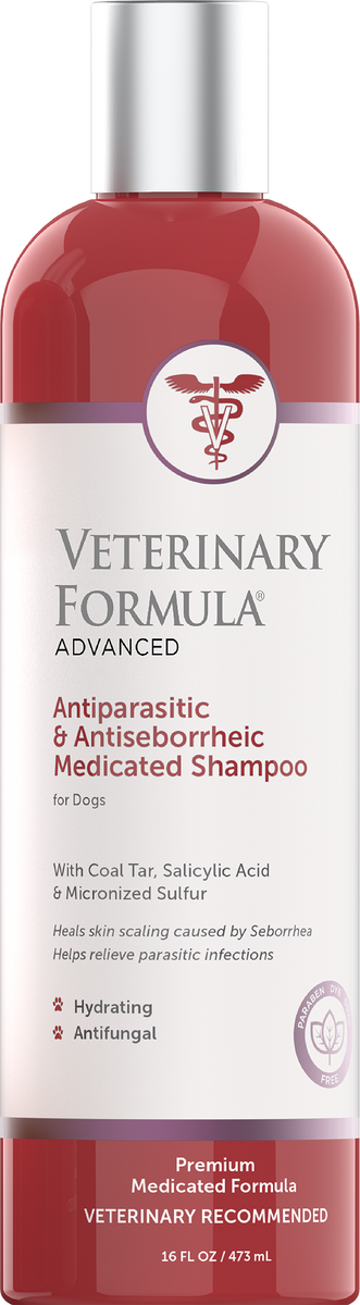 Synergylabs veterinary formula clinical care antiparasitic and antiseborrheic medicated shampoo online for dogs