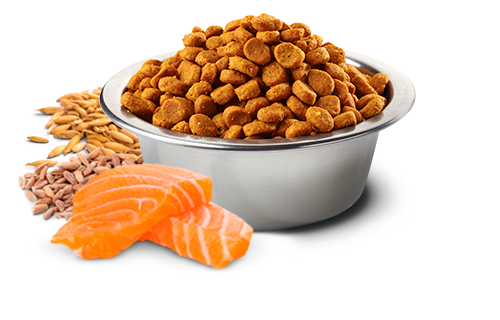 Farmina N&D Tropical Selection Canine Salmon, Spelt, oats and Tropical Fruits Adult Medium & Maxi