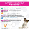 Nootie Progility Pre & Probiotics Supplement