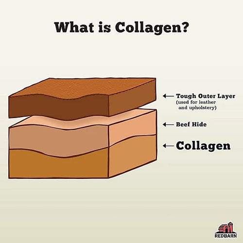 Redbarn X-Large Collagen Stick Individual