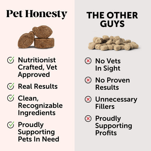 Pet Honesty Probiotics Gut + Immune Health Pumpkin Flavor for Dogs (90 Soft Chews - 9.5 oz)