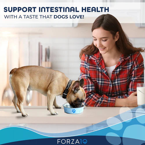 Forza10 Nutraceutic Active Intestinal Support Diet Dry Dog Food (6 LB)