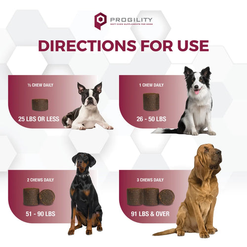 Nootie Progility Urinary Support Supplement
