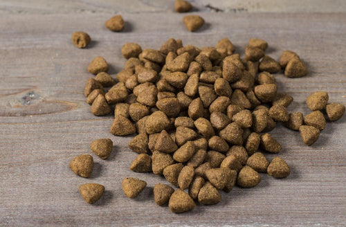 Nulo FreeStyle Grain Free Lamb and Chickpeas Recipe Dry Dog Food