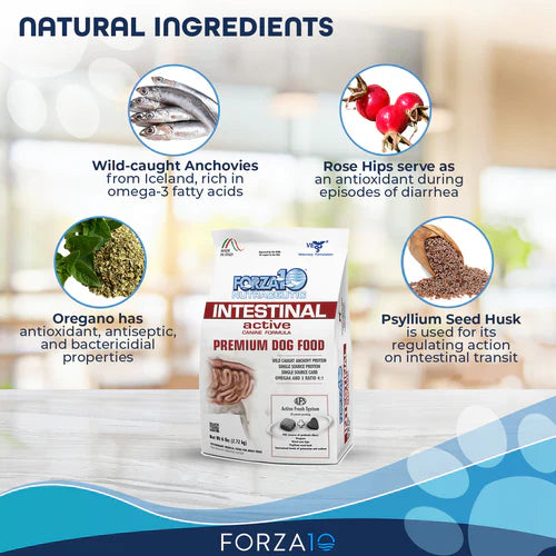 Forza10 Nutraceutic Active Intestinal Support Diet Dry Dog Food (6 LB)