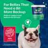 NaturVet Advanced Probiotics & Enzymes Soft Chews