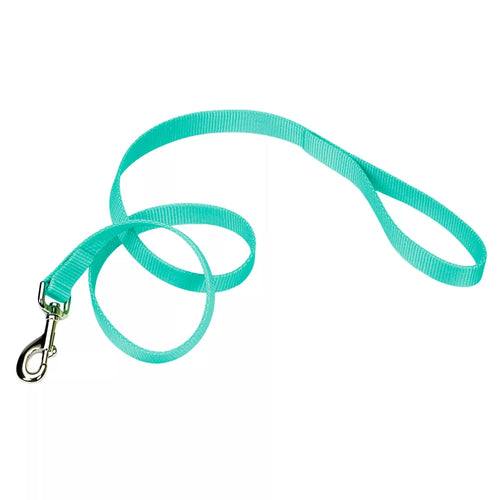 Coastal Single-Ply Dog Leash (Medium - 3/4 X 6', Blue)