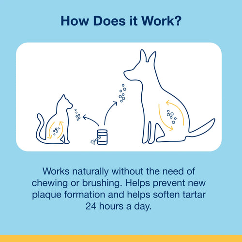 Proden PlaqueOff Dental Powder Supplement for Dogs & Cats