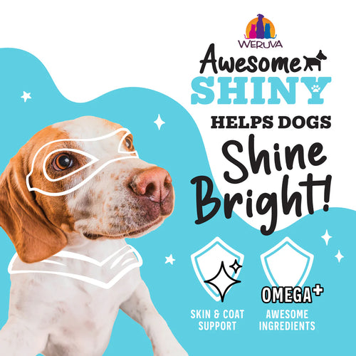Weruva Awesome Shiny Chicken Breast & Brown Rice Recipe with Veggies & Flaxseed In Broth Dog Food