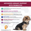 Nootie Progility Urinary Support Supplement