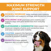 Nootie Progility Max Hip & Joint Supplement
