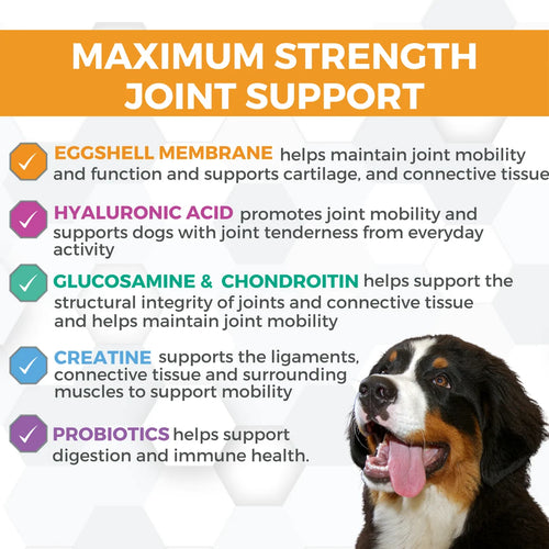 Nootie Progility Max Hip & Joint Supplement