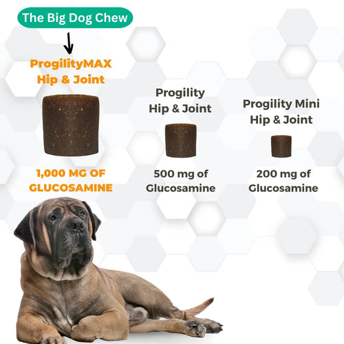 Nootie Progility Max Hip & Joint Supplement