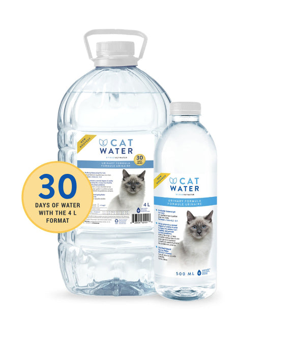 Vet Water PH Balanced Cat Water (16.9 oz / 500 ml)