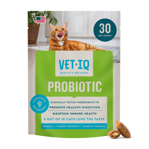 Vet IQ Probiotic