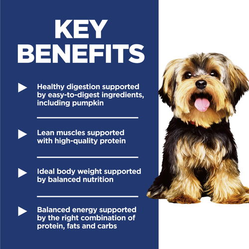 Hill's Science Diet Adult Small Paws Chicken & Brown Rice Recipe Dog Food