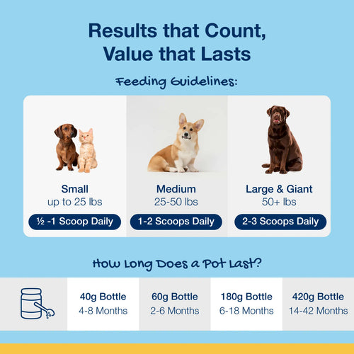 Proden PlaqueOff Dental Powder Supplement for Dogs & Cats