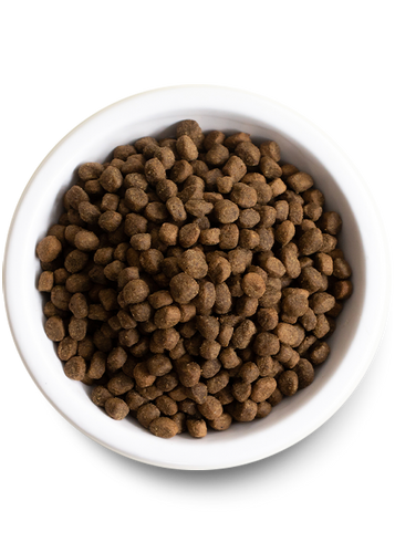 Open Farm Wild-Caught Salmon & Ancient Grains Dry Dog Food (4-lbs)