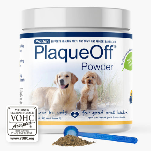 Proden PlaqueOff Dental Powder Supplement for Dogs & Cats