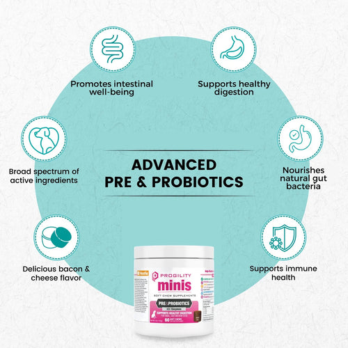Nootie Progility Pre & Probiotics Supplement