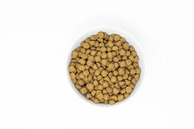 Stella & Chewy's Raw Coated Wholesome Grains Chicken Recipe Dry Dog Food