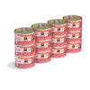 Weruva Classic Cat Paté Jolly Good Fares with Chicken & Salmon