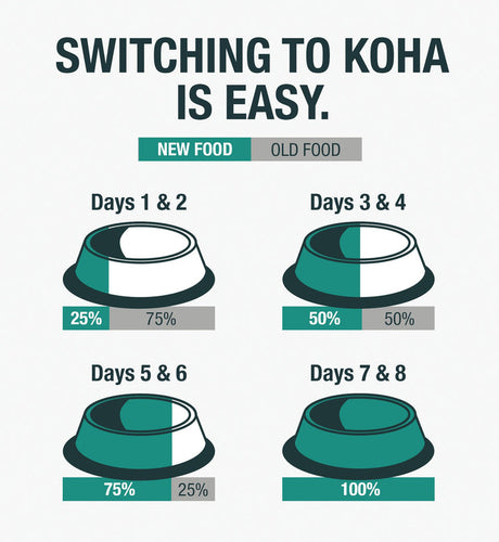 Koha Poké Bowl Tuna & Pumpkin Entrée in Gravy for Cats