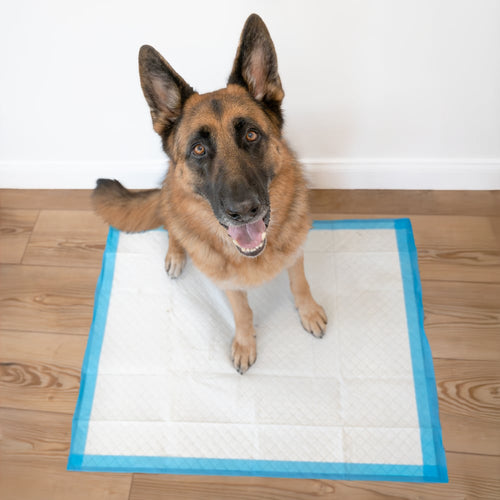 Wee-Wee Pads XL 28” X 34”