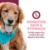 Fromm Nutritionals Sensitive Skin and Stomach Complete Dog Food Pâté