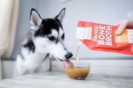 Stella & Chewy's Bountiful Bone Broth Grass Fed Beef Bone Broth Recipe (16-oz)