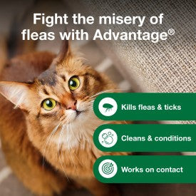 Advantage Cat Flea & Tick Shampoo for Kittens & Adult Cats