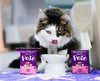 Stella & Chewy's Purrfect Pate Chicken & Salmon Medley Recipe Wet Cat Food