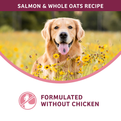 Fromm Dog Nutritionals Sensitive Skin & Stomach