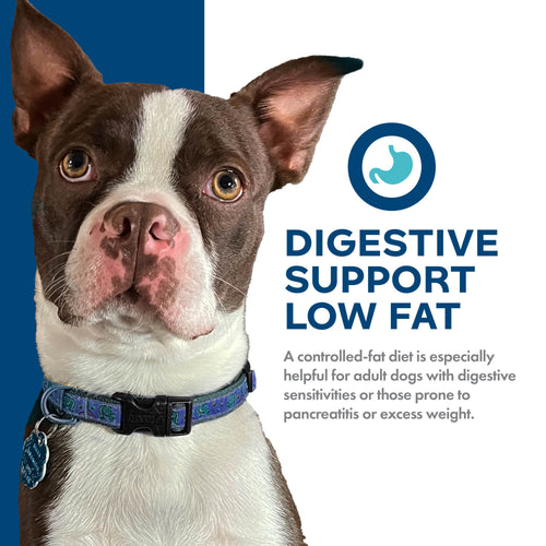 Fromm Dog Nutritionals Digestive Support