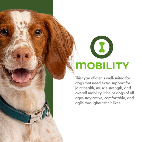 Fromm Dog Nutritionals Mobility