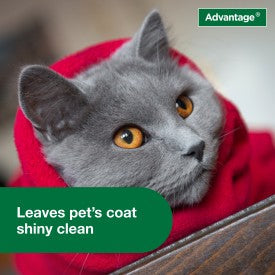 Advantage Cat Flea & Tick Shampoo for Kittens & Adult Cats