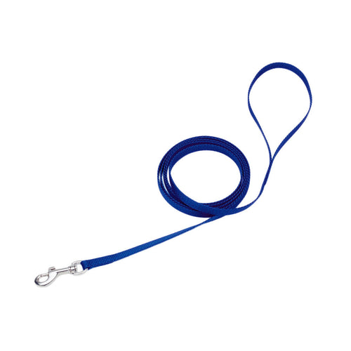 Coastal Single-Ply Dog Leash (Medium - 3/4 X 6', Blue)