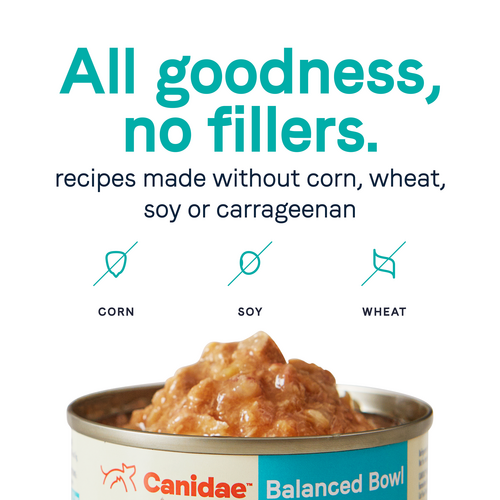 Canidae Balanced Bowl Salmon Sweet Potato Recipe Wet Cat Food