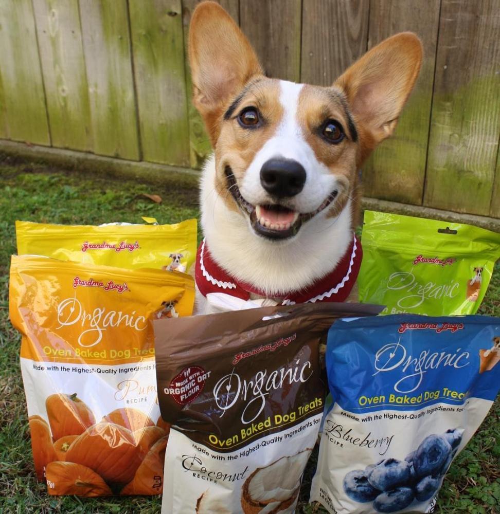 Grandma lucy's organic pumpkin dog outlet treats