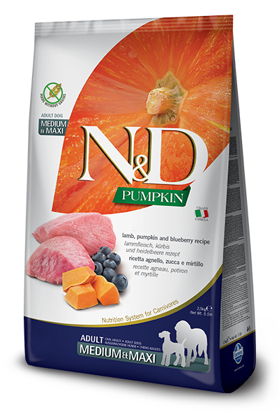 N&d pumpkin formula dog food online
