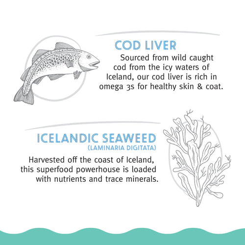 Icelandic+™ Soft Chew Nibblets Cod Liver & Seaweed Recipe Cat Treat (2.25 oz)