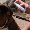 Wondercide Rosemary Flea & Tick Spray for Pets + Home with Natural Essential Oils