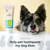 Oxyfresh Premium Pet Toothpaste | Best Way To Clean Pet Teeth & Remove Plaque (4 oz)