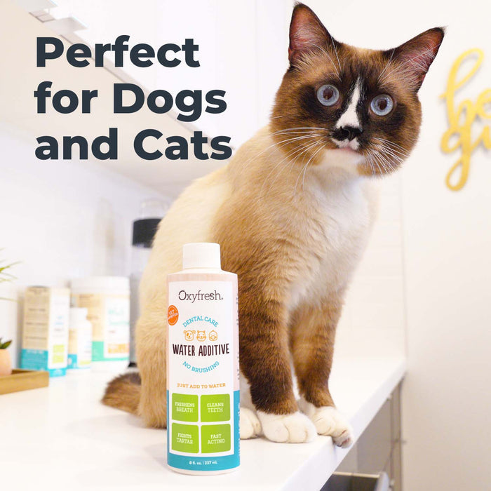 Dental water additive outlet for dogs and cats