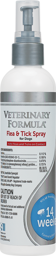 Veterinary Formula Flea & Tick Shampoo (16 oz)